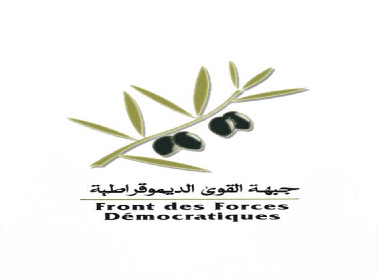 جبهة القوى الديمقراطية تقترح توسيع مجلس النواب بـ 70 مقعدا إضافيا