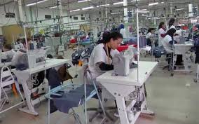 الحكومة تطلق برنامج "إدماج" لغير الحاصلين على شهادات… خطة لتوفير 200 ألف فرصة عمل بحلول 2026