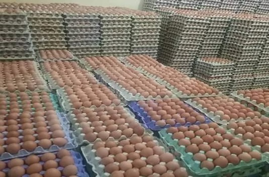 من يفقس بيضة الأزمة؟! غلاء غامض وتحقيق غائب في سوق البيض المغربي