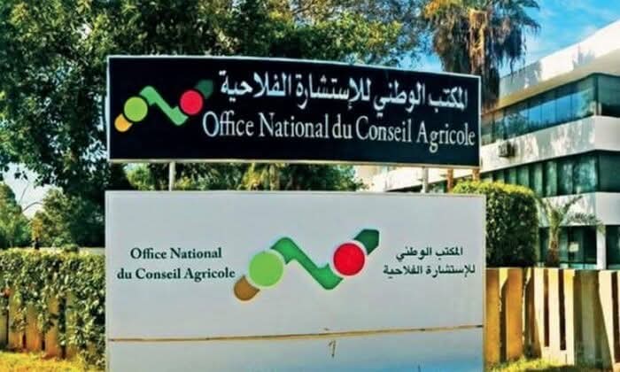 المديرية الجهوية للاستشارة الفلاحية بجهة درعة تافيلالت تشارك في المعرض الدولي للورد العطري بقلعة مكونة